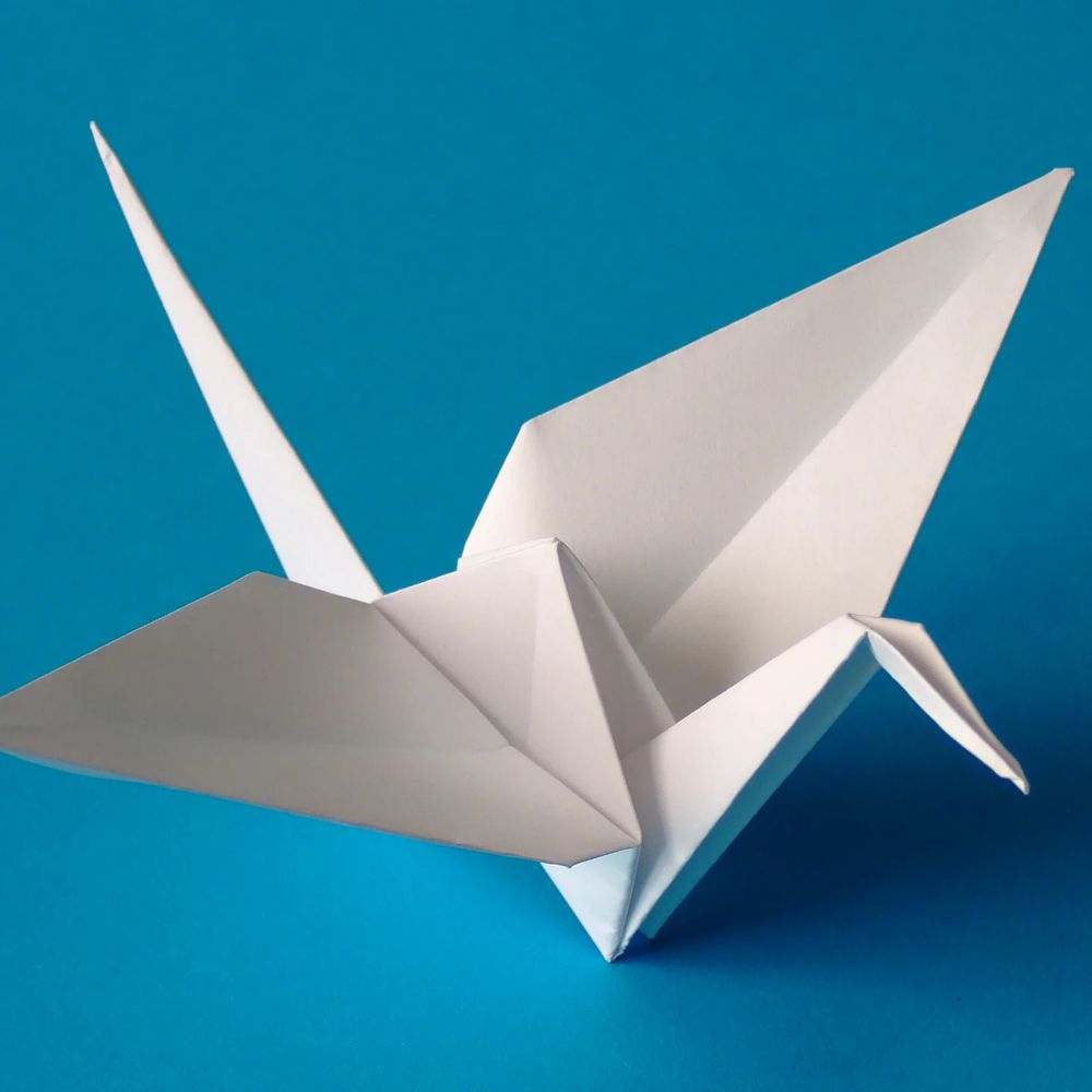 Paper_Wings