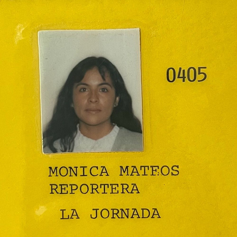Mónica Mateos