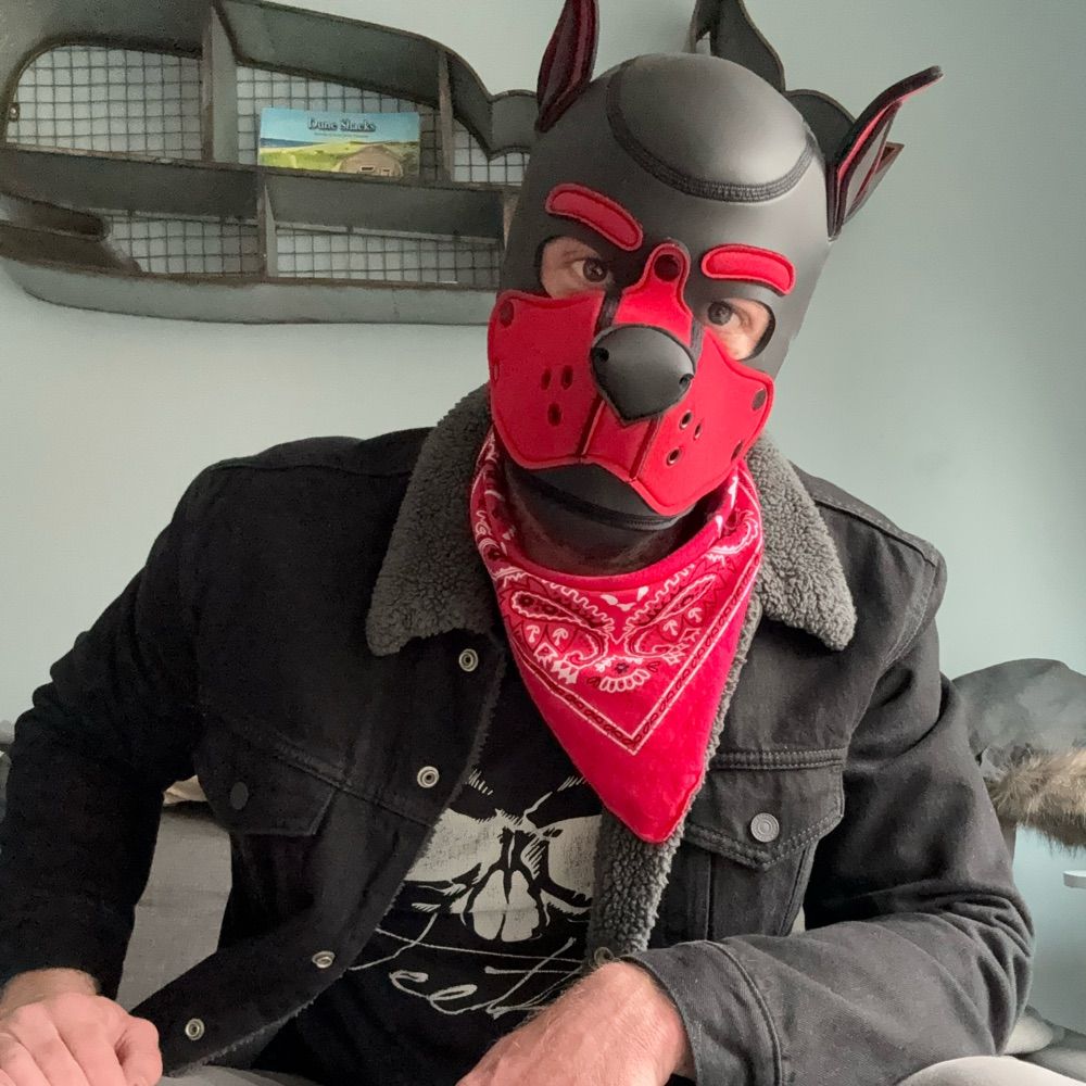 Pup Spark