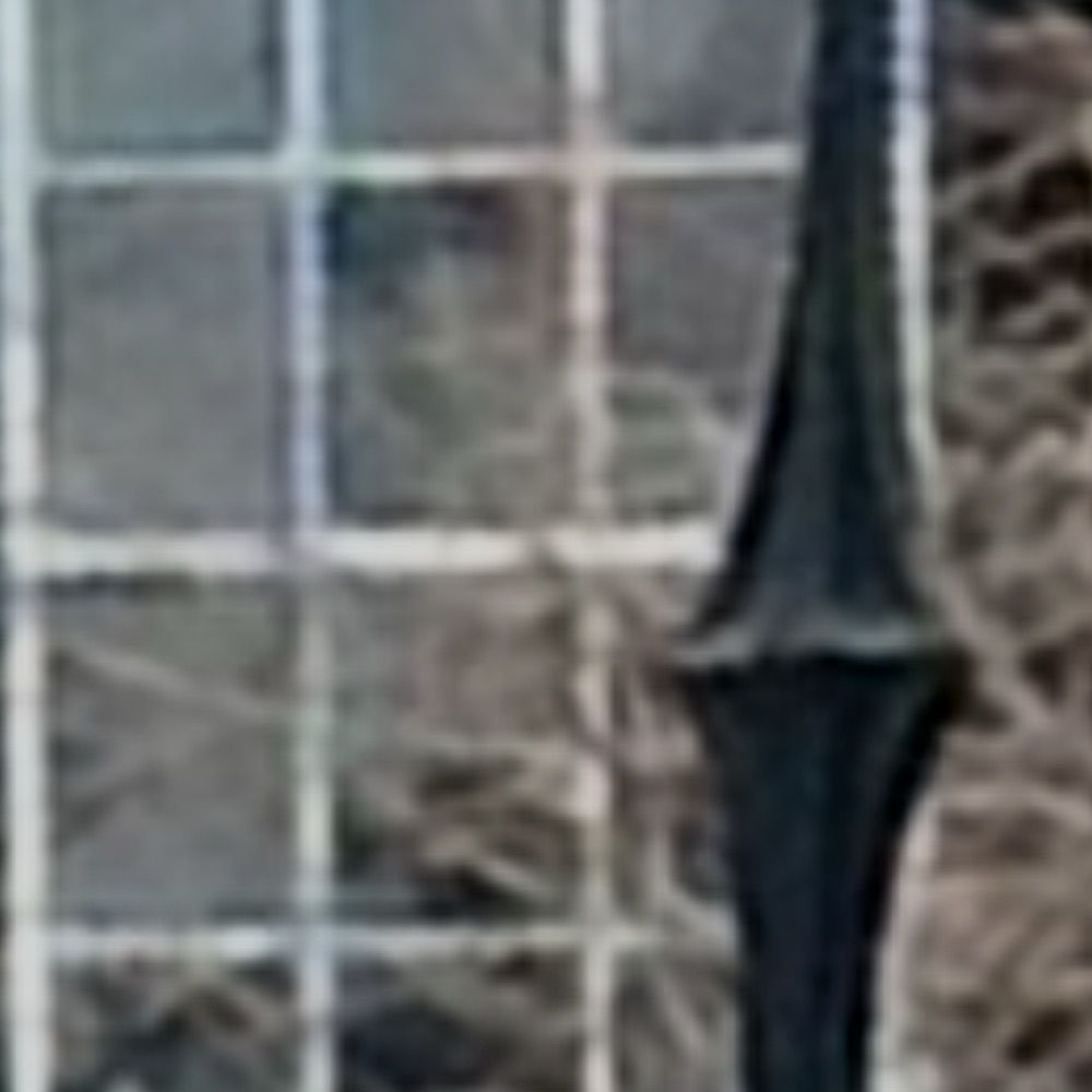 New York Paranormal Research Assocation