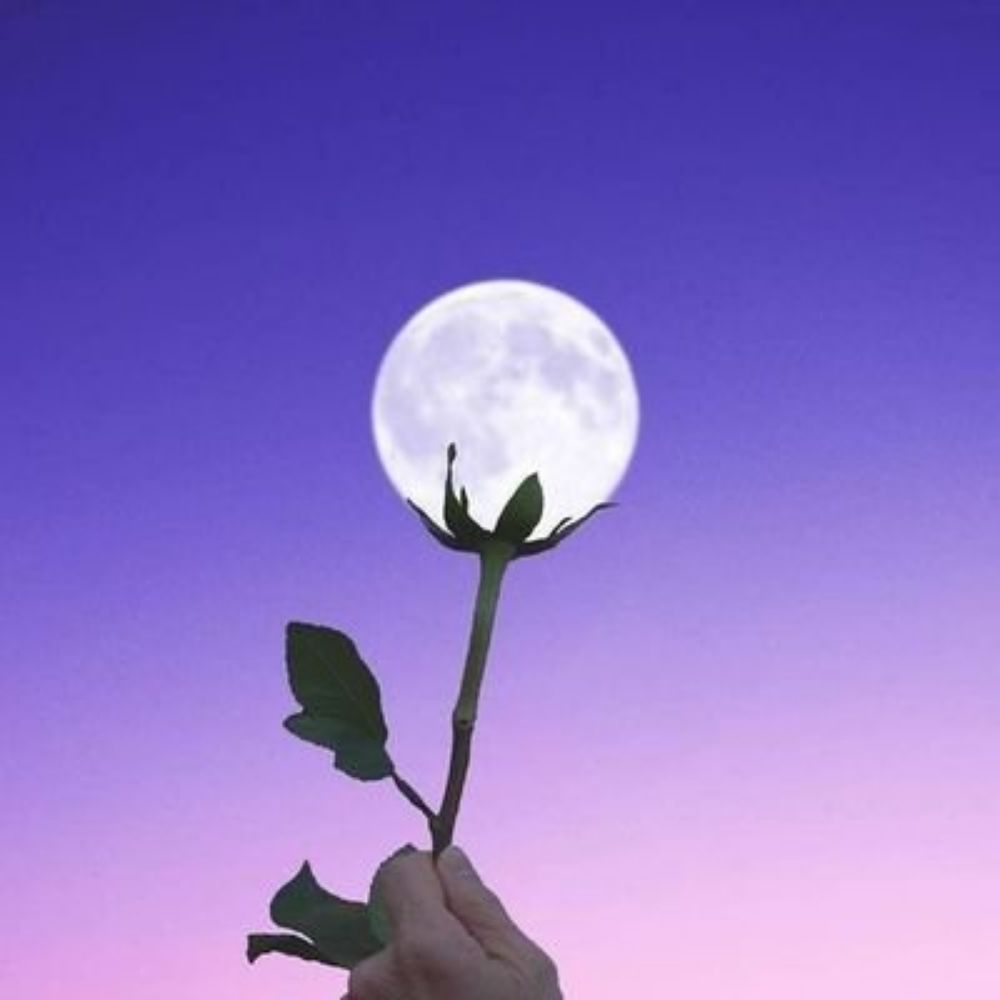 🌌신야🌌