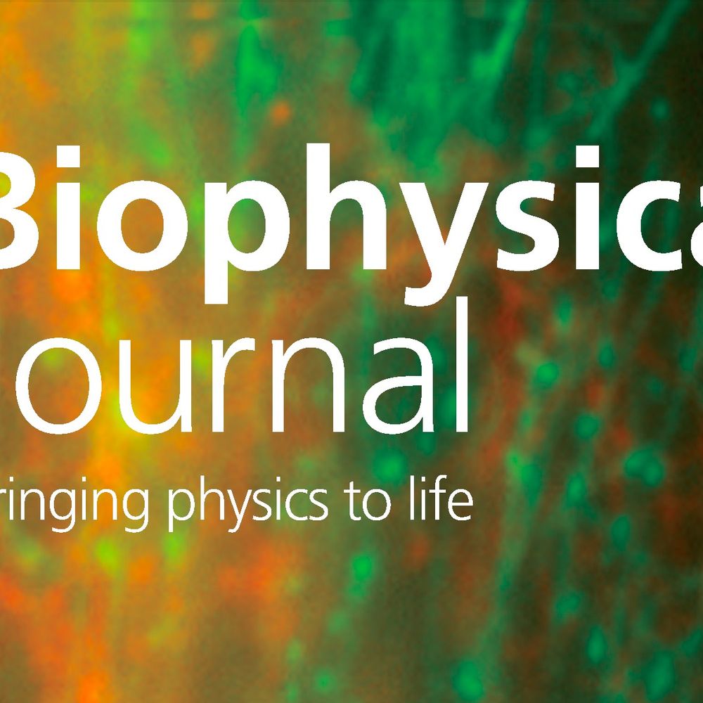 Biophysical Journal