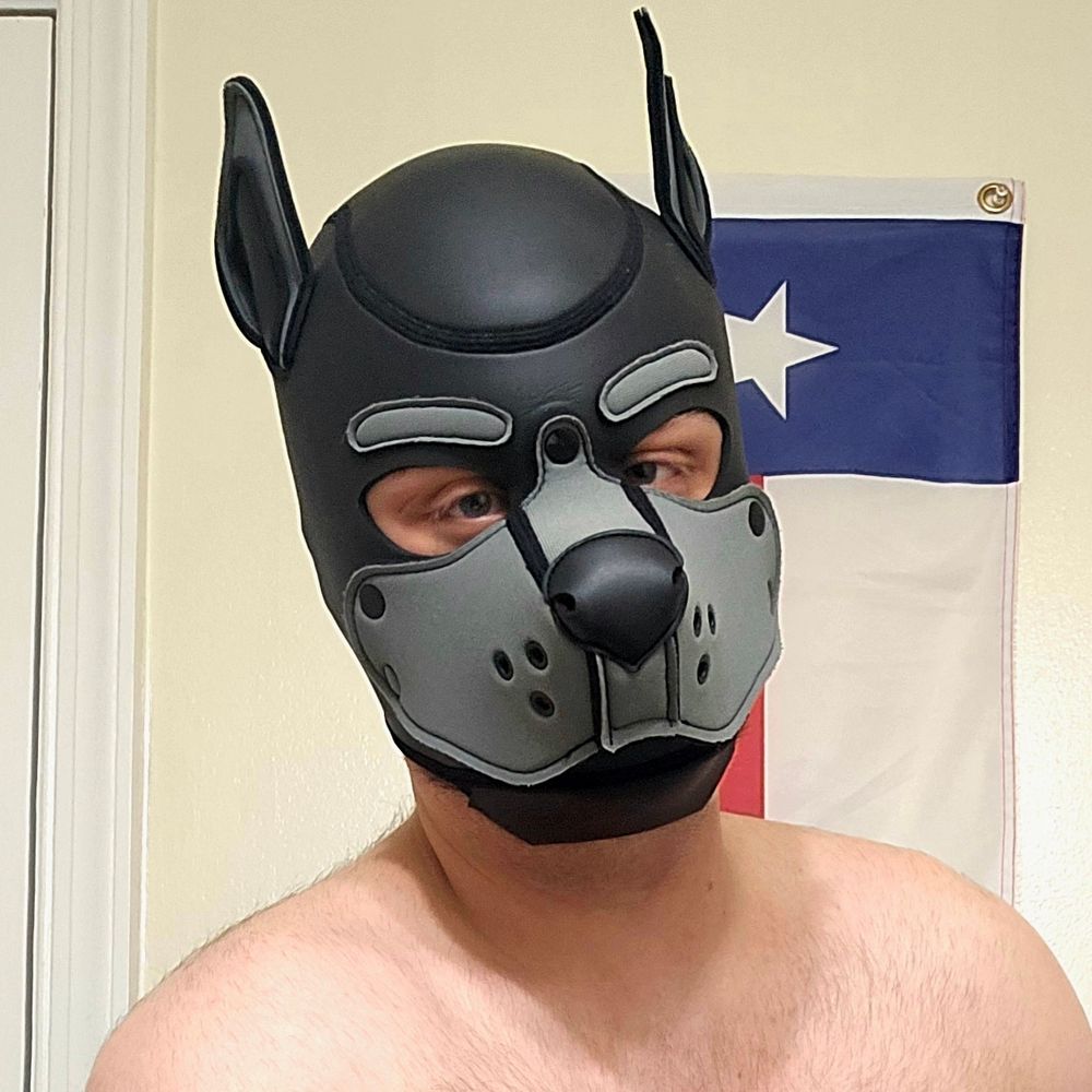 Pup Buckshot@AC