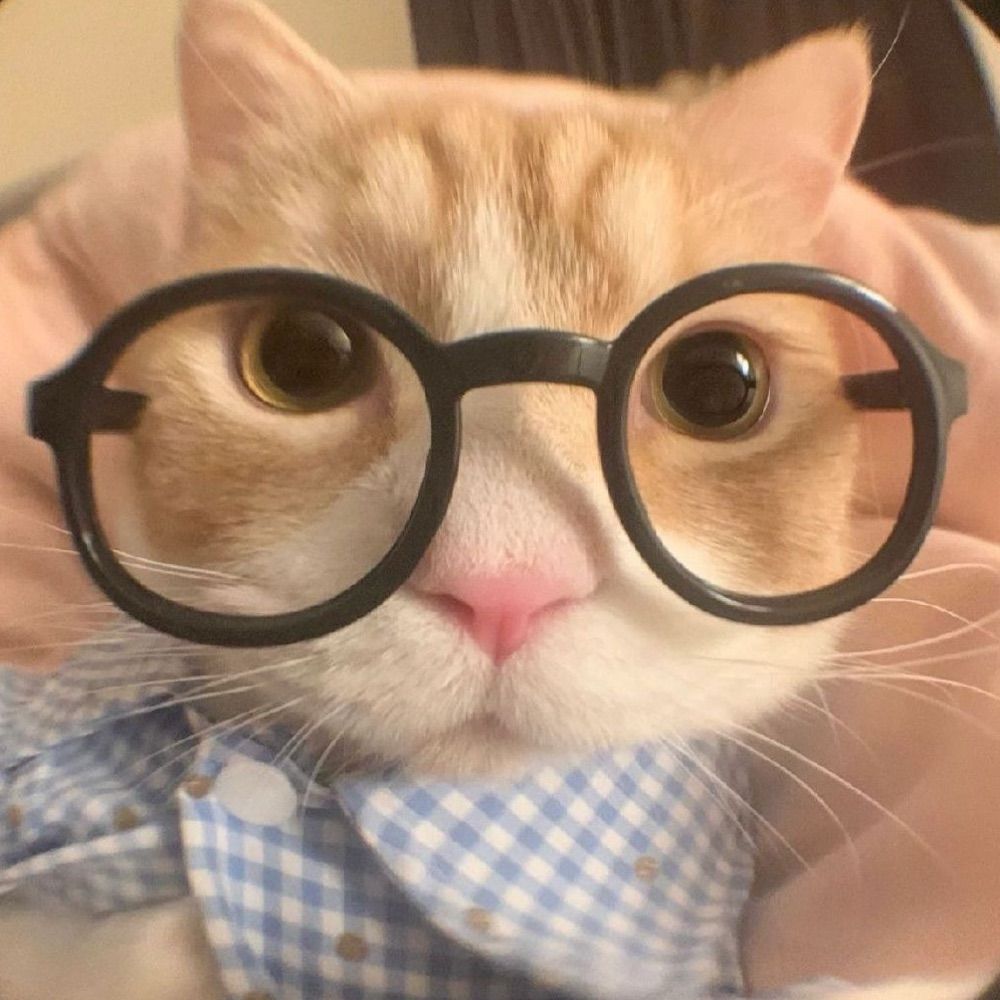 plumpfeline