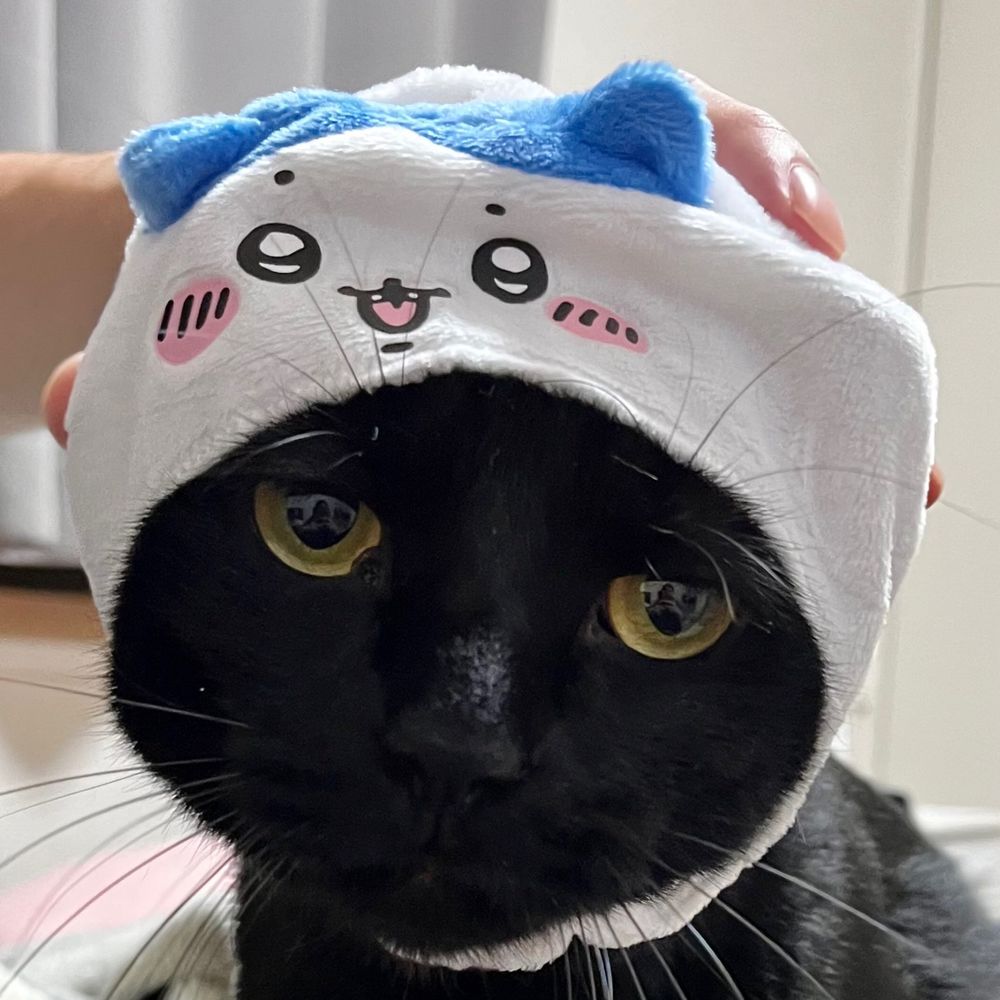 もちこ