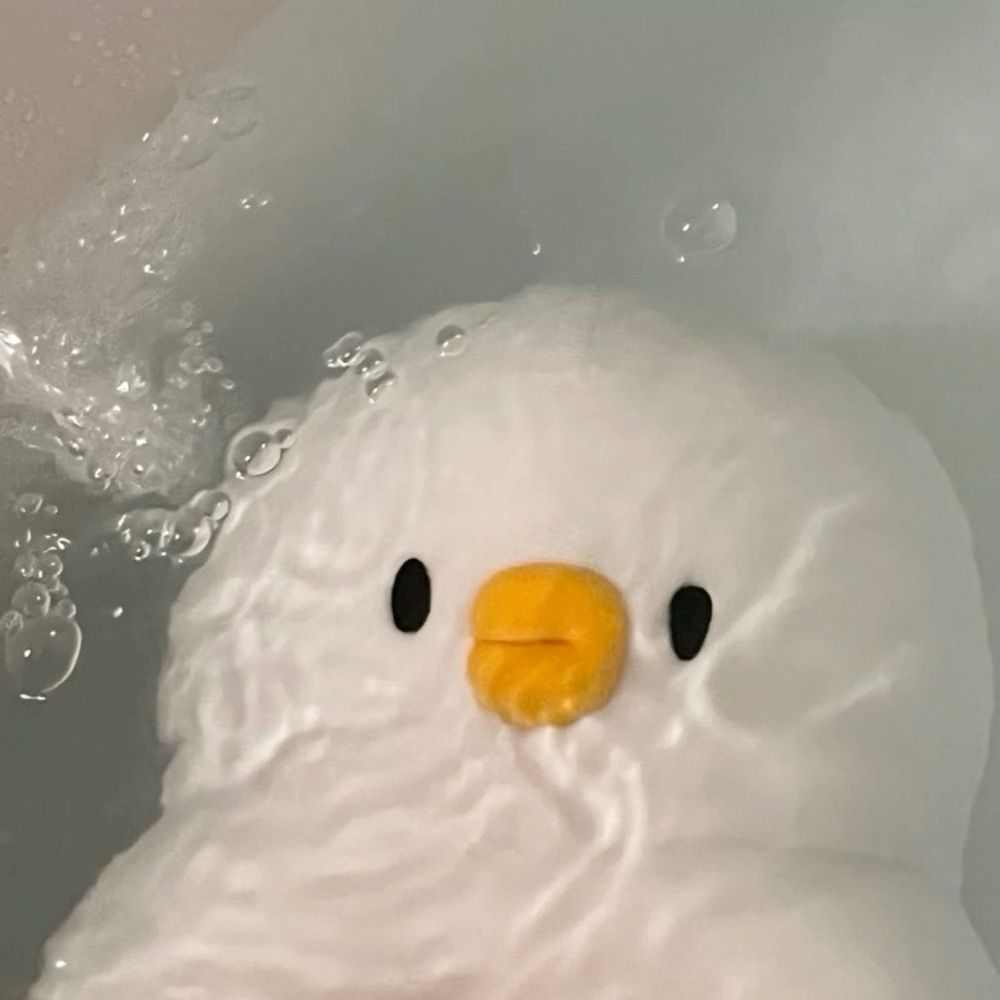 jjeww🐥