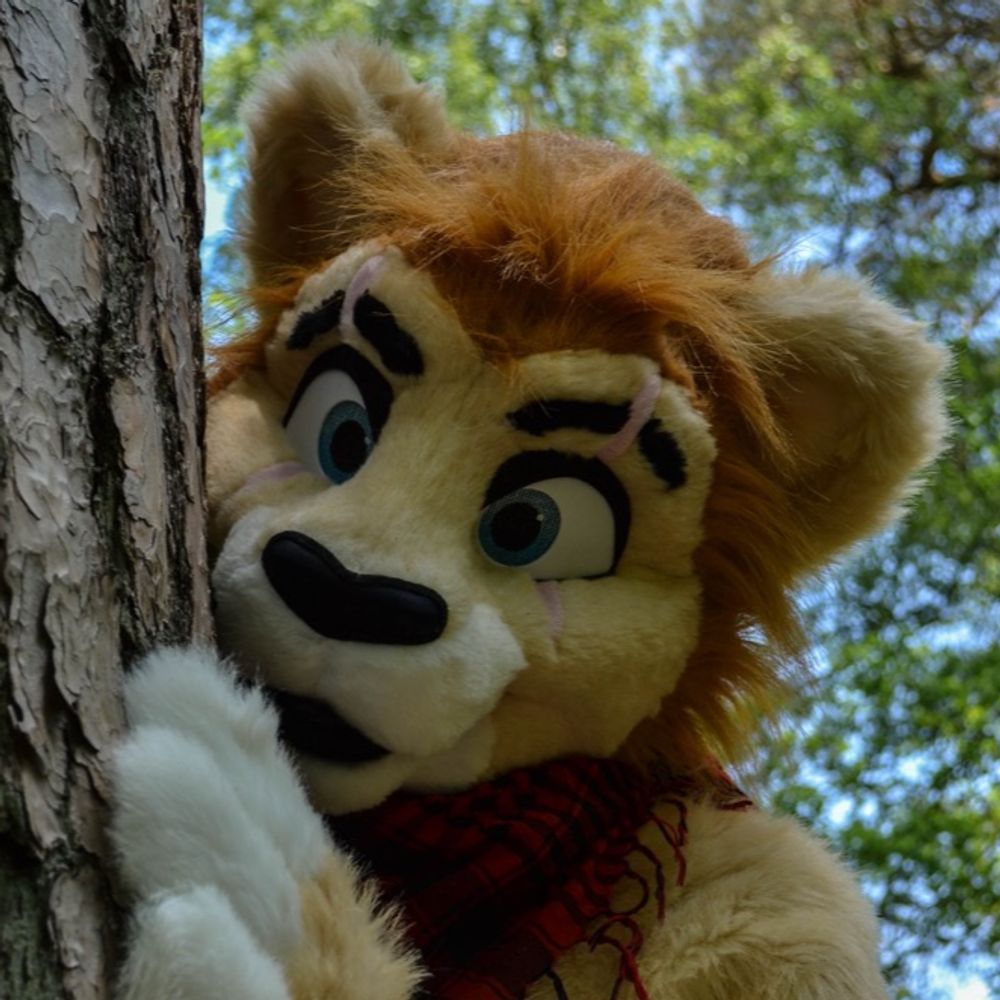 Jet the Lion