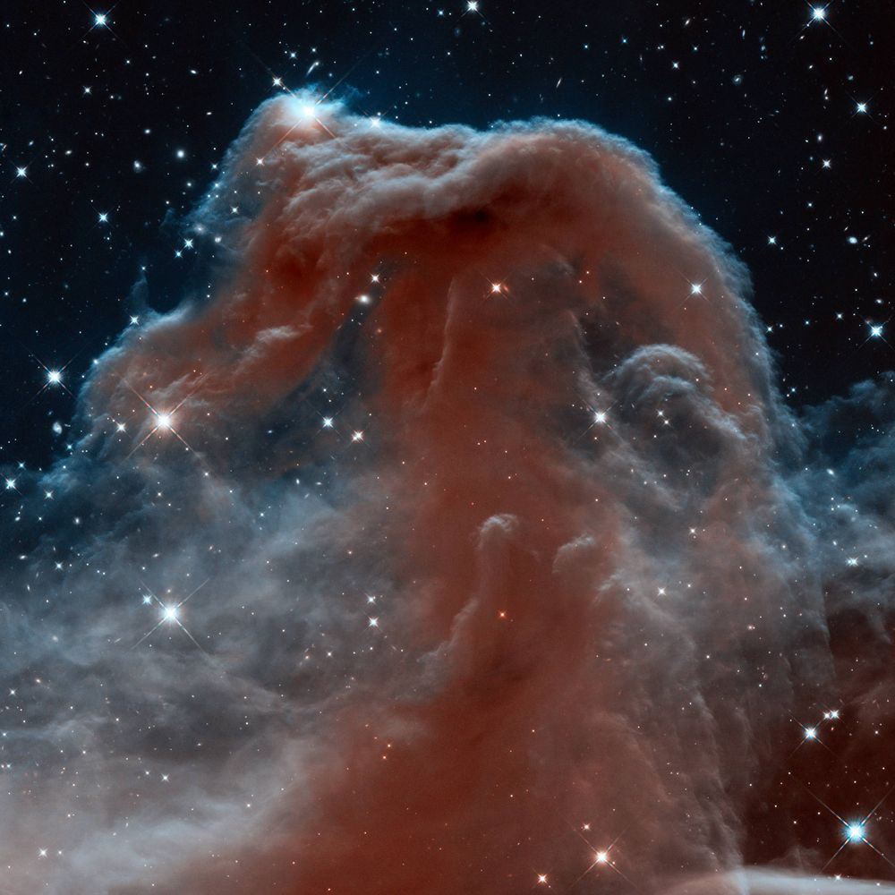 Barnard's Loop