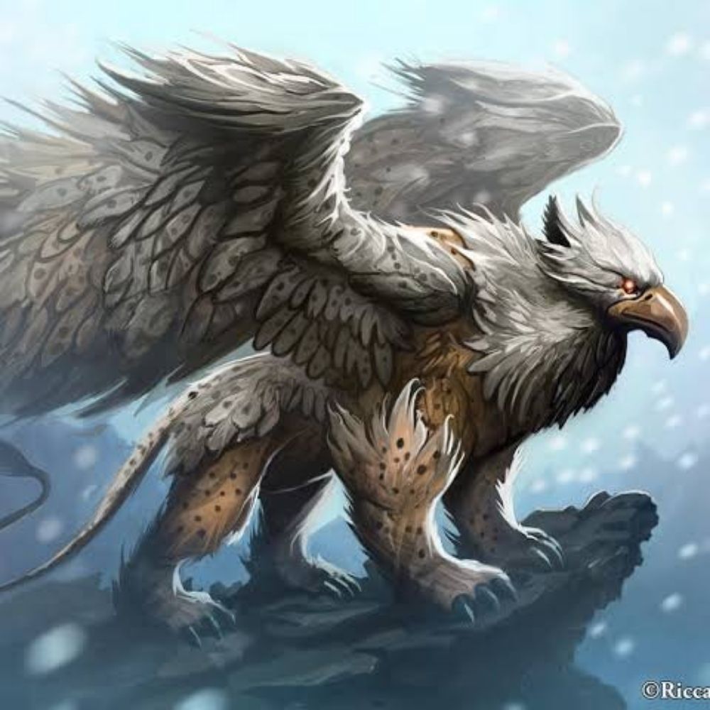 Bürküt Han🐺🇹🇷💫