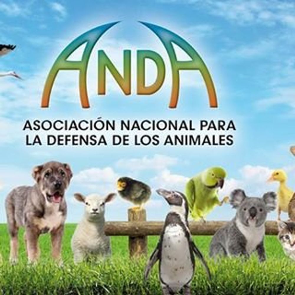 Asociación Nacional para la Defensa de los Animales