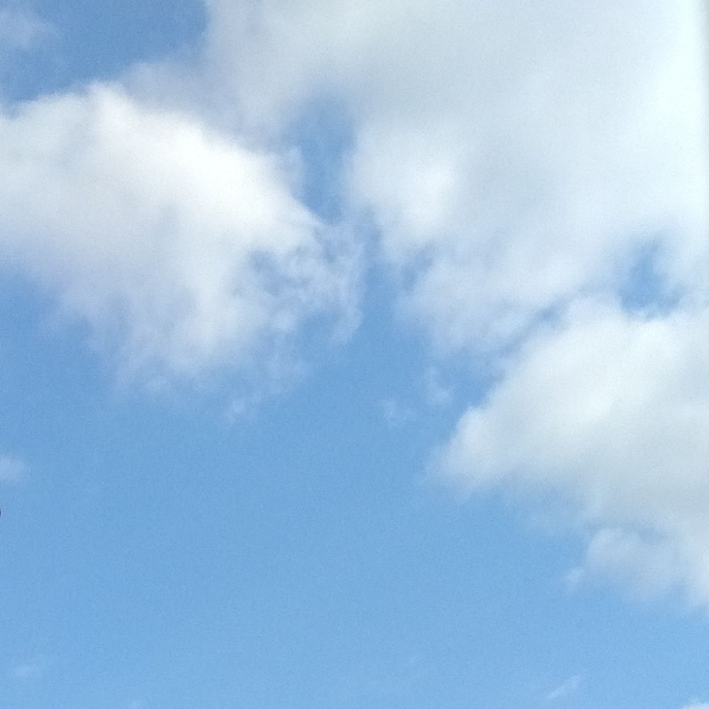 🔵