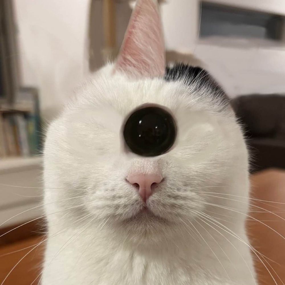 Lilli