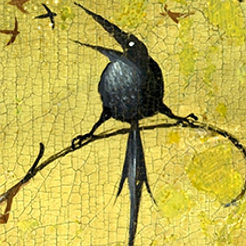 RRaven
