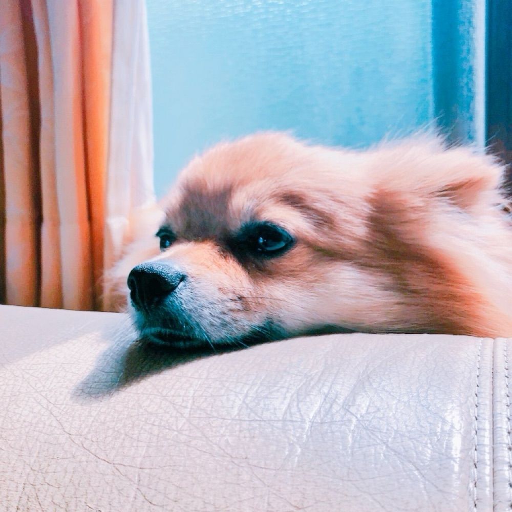 みやびぃ