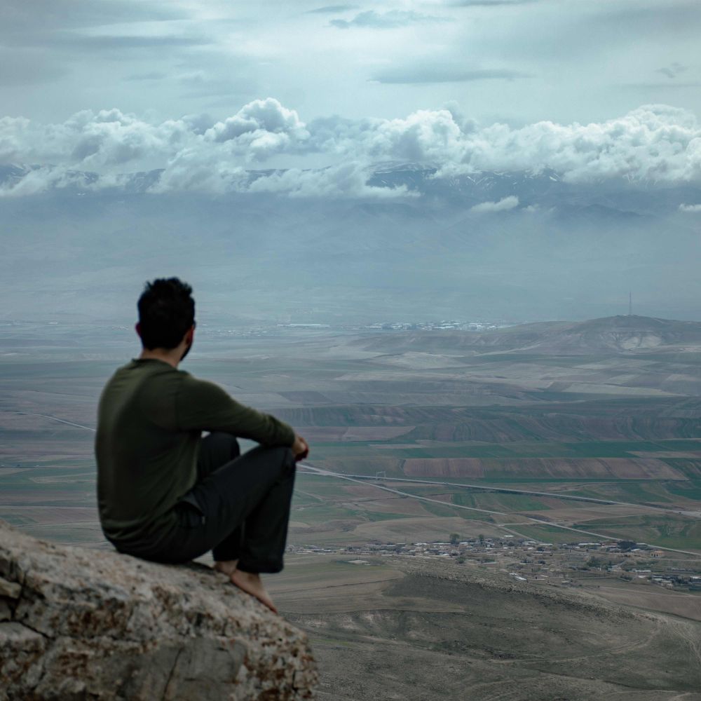 گرگ خاردار