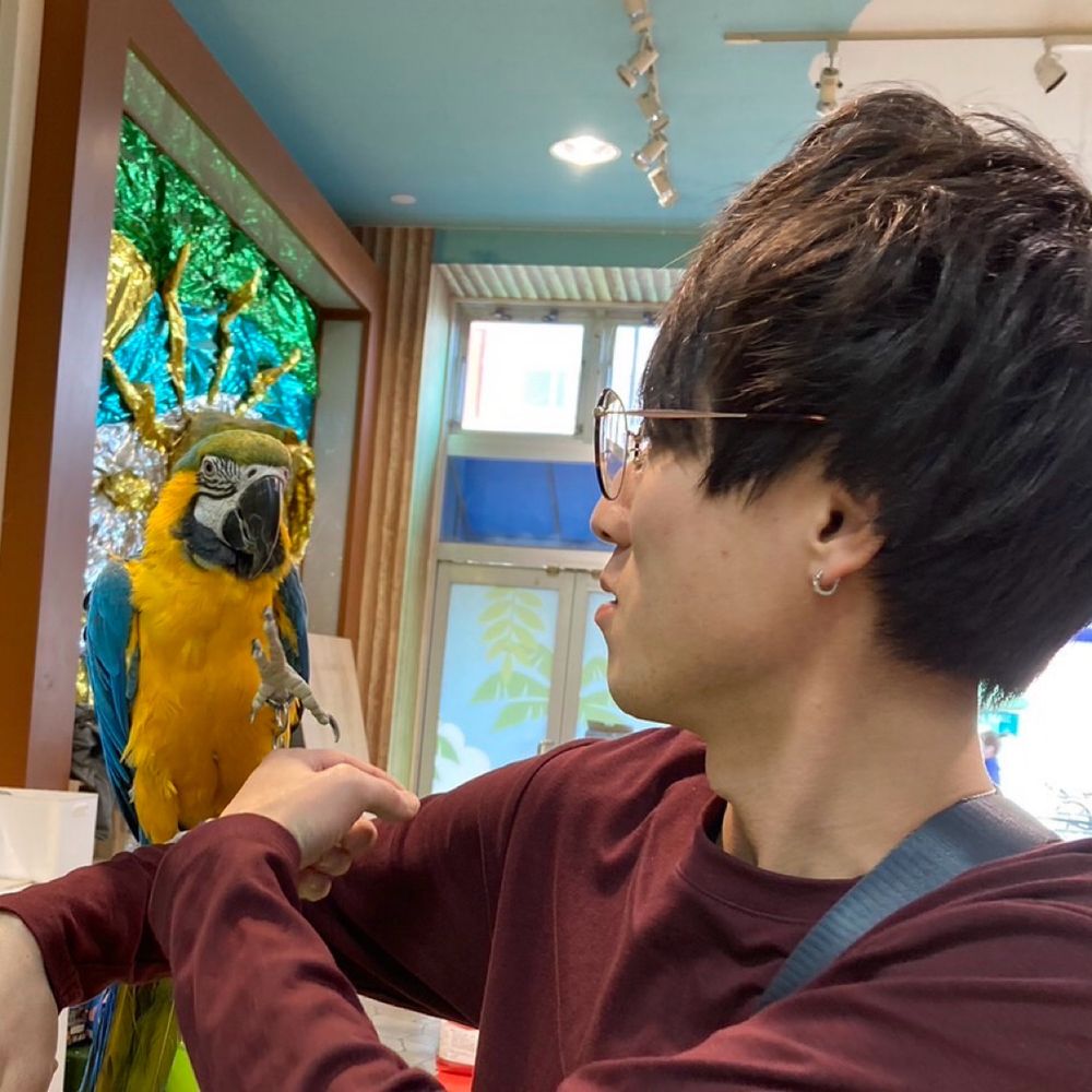 KAITO