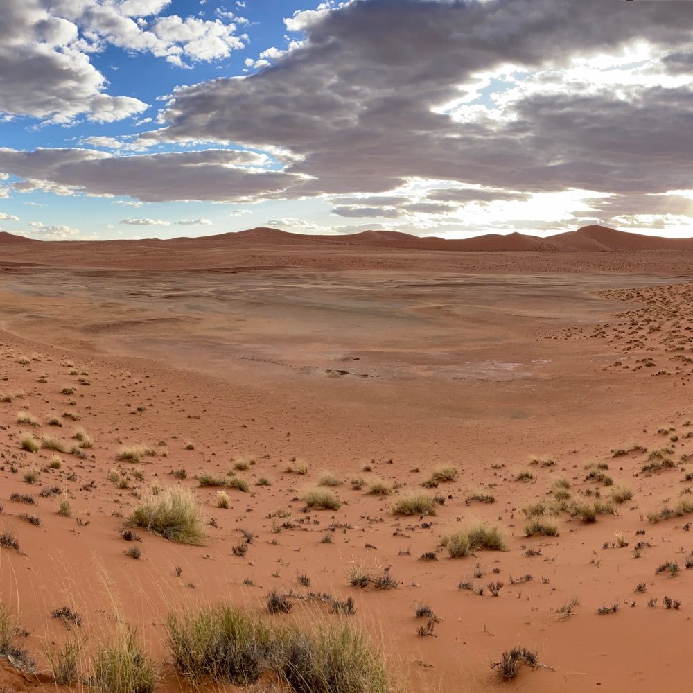 PANS Namib Sand Sea Project