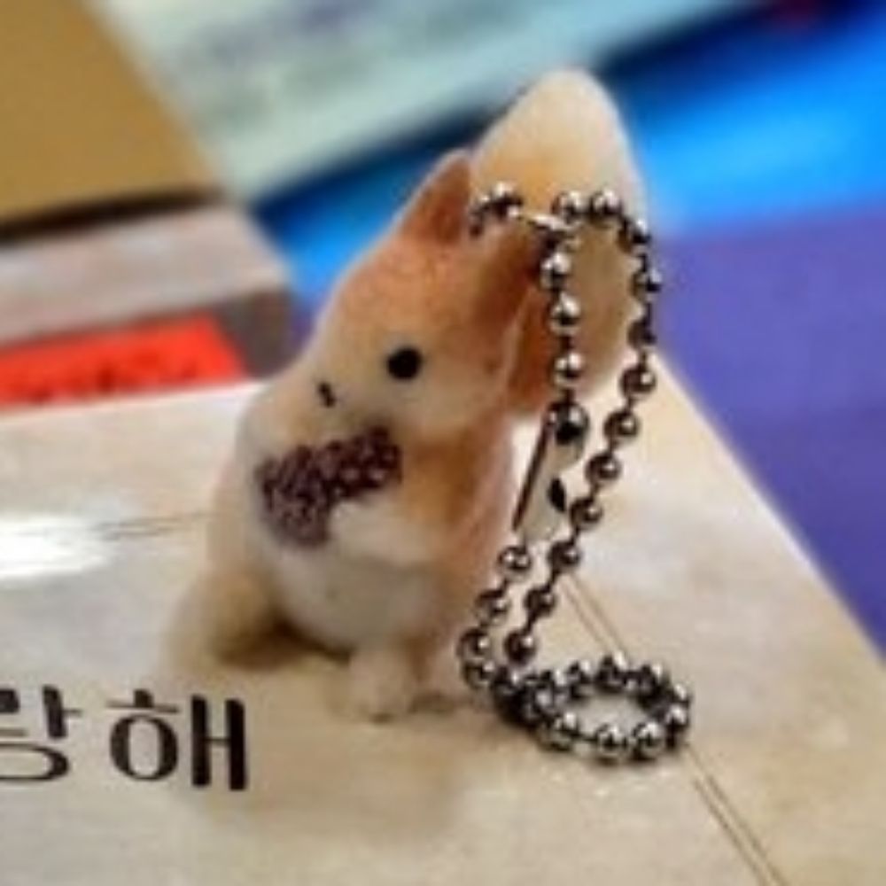 매미