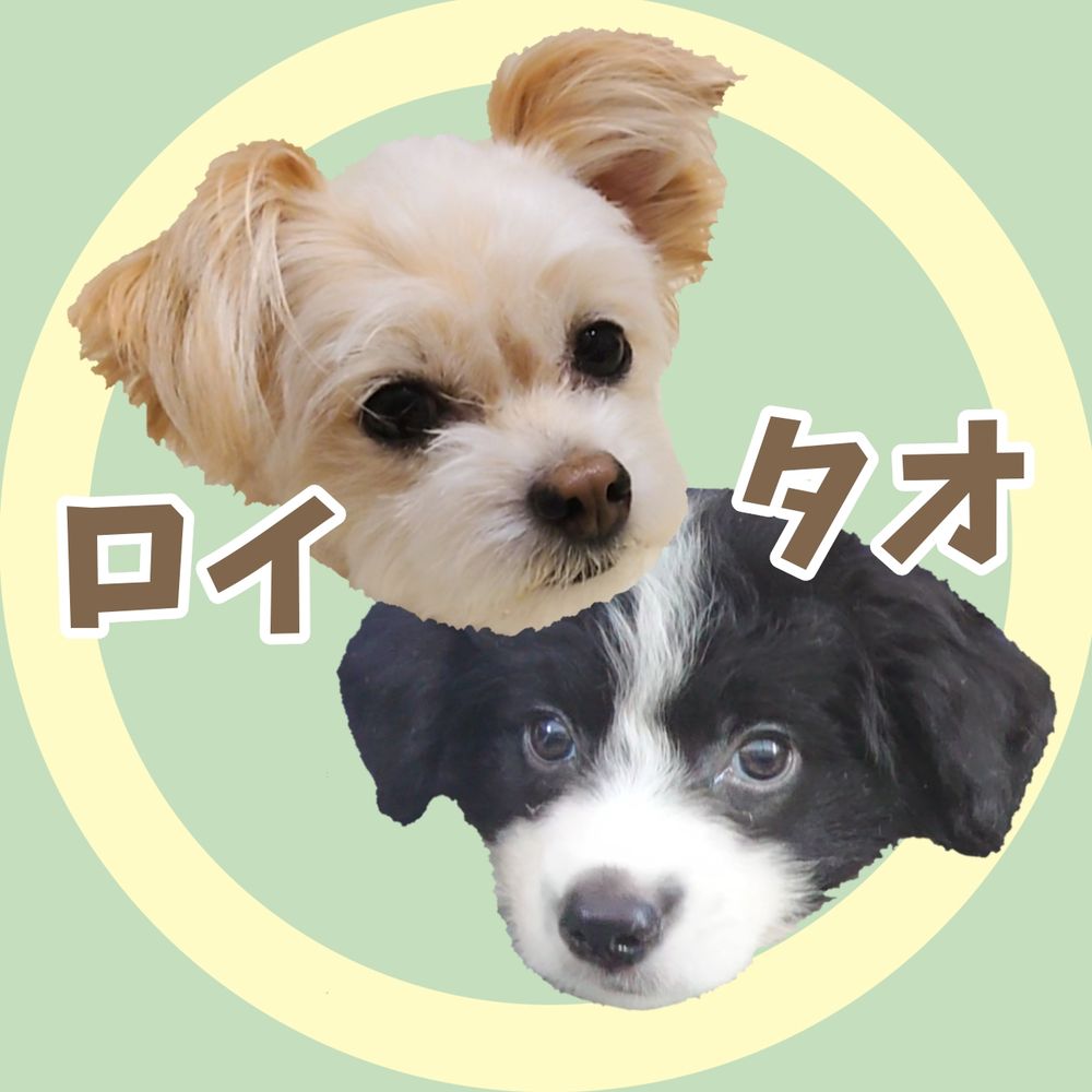 ロイ＆タオ