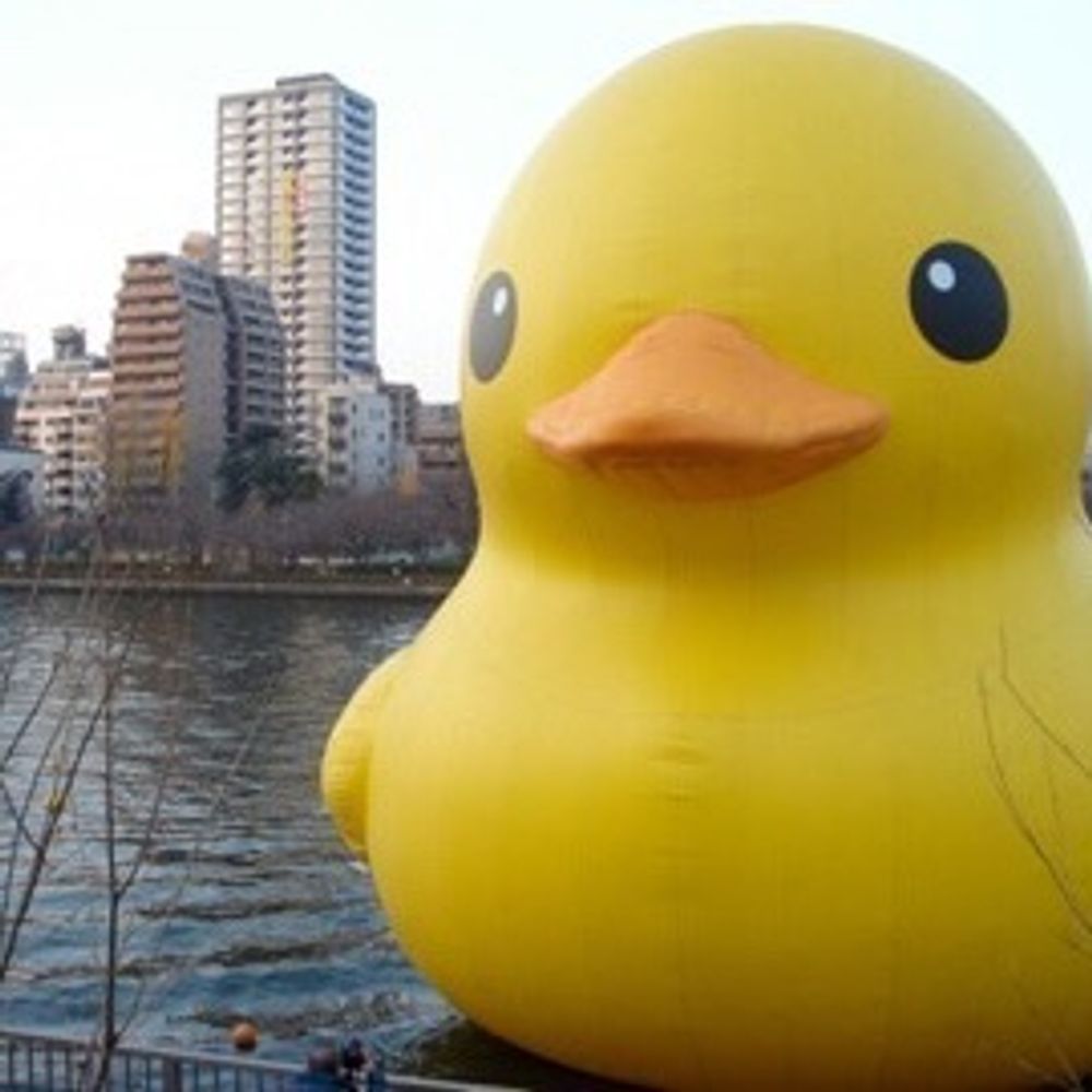 どやこ