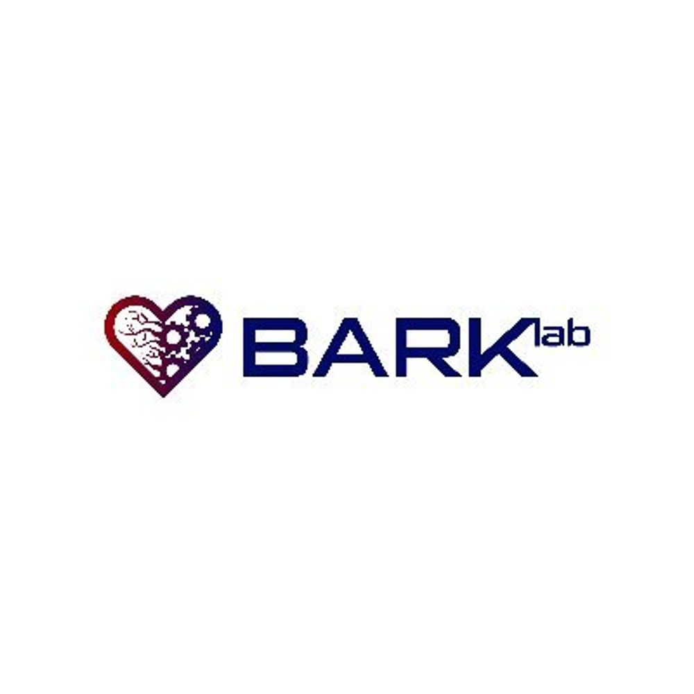 David Bark