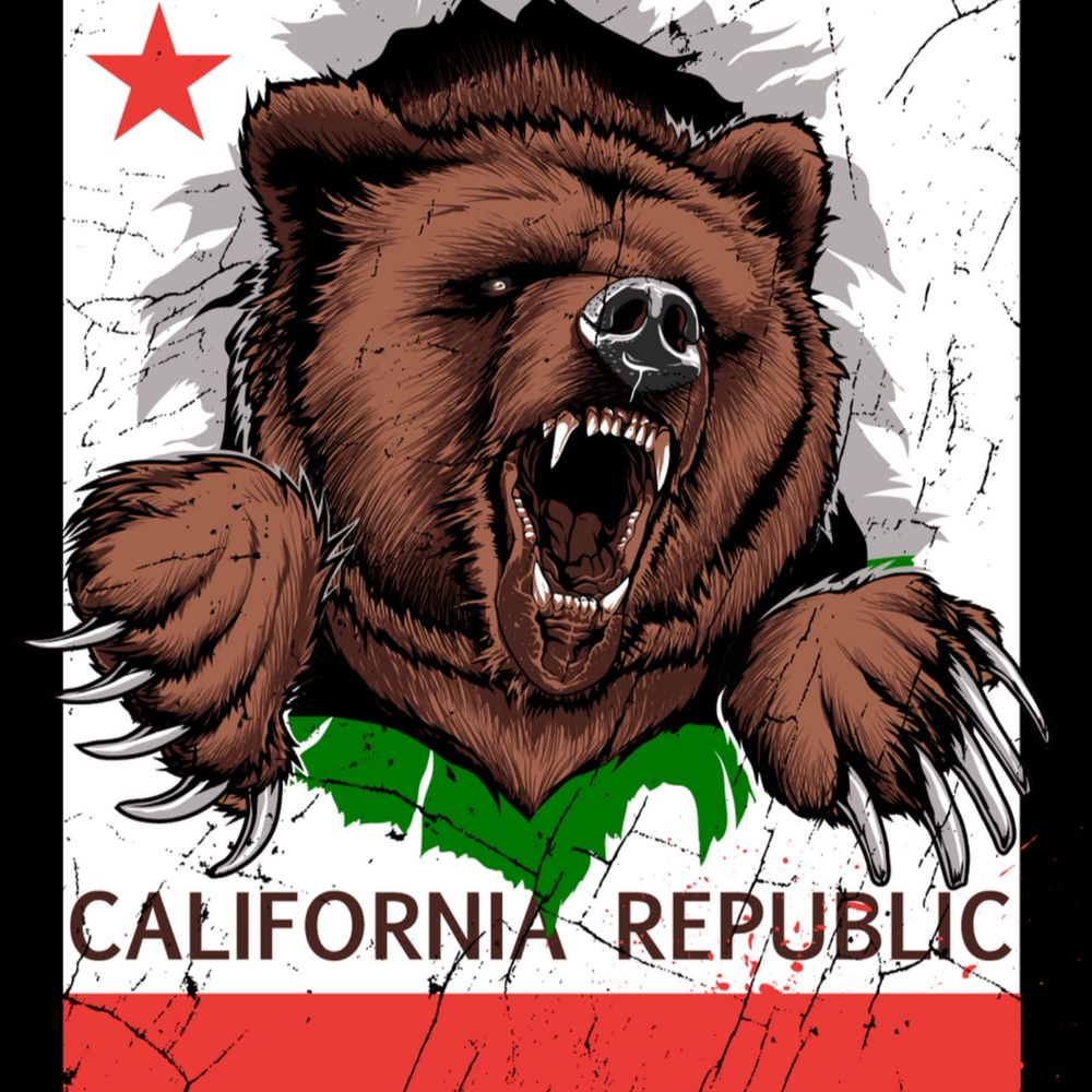 cassbo.bsky.social profile picture