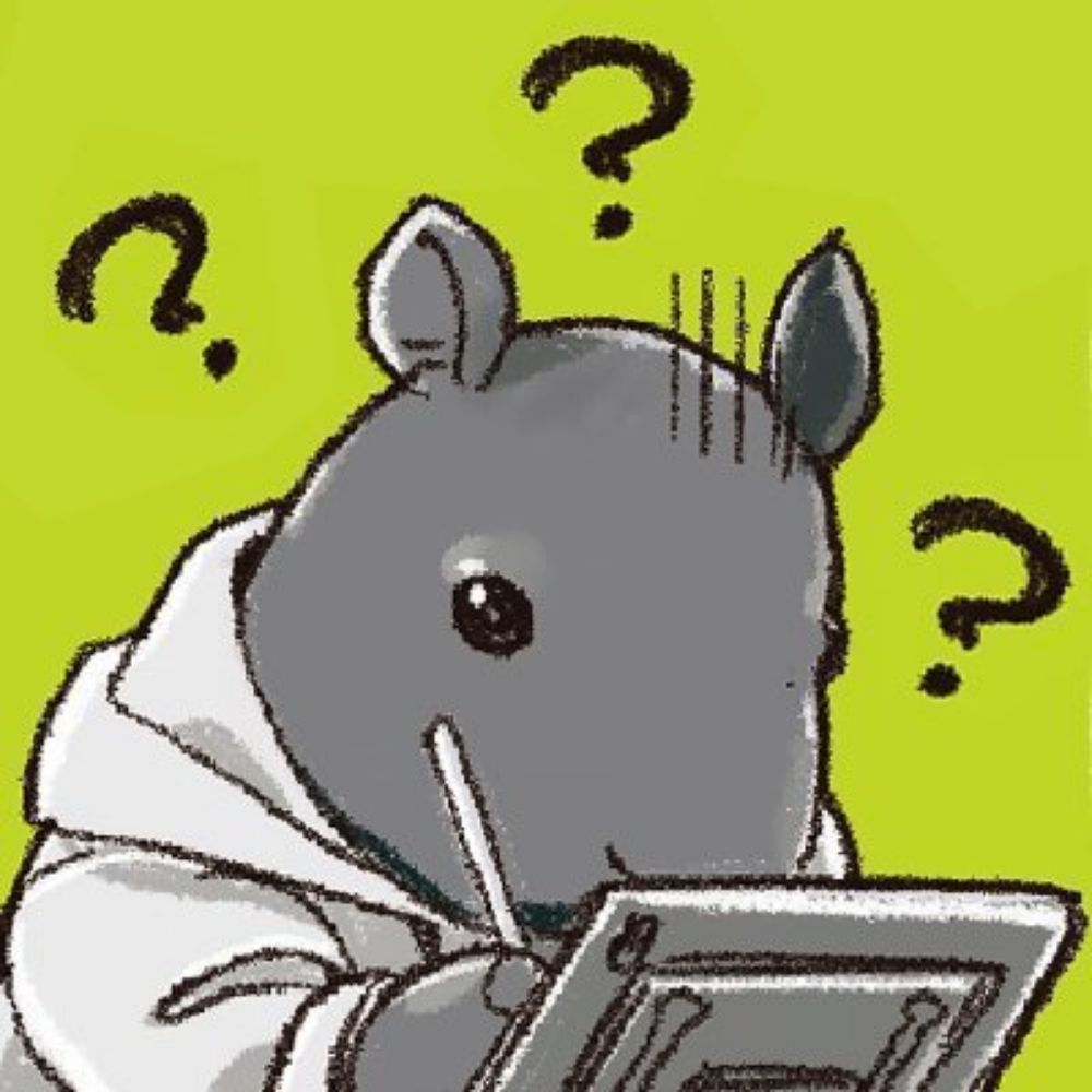 言成
