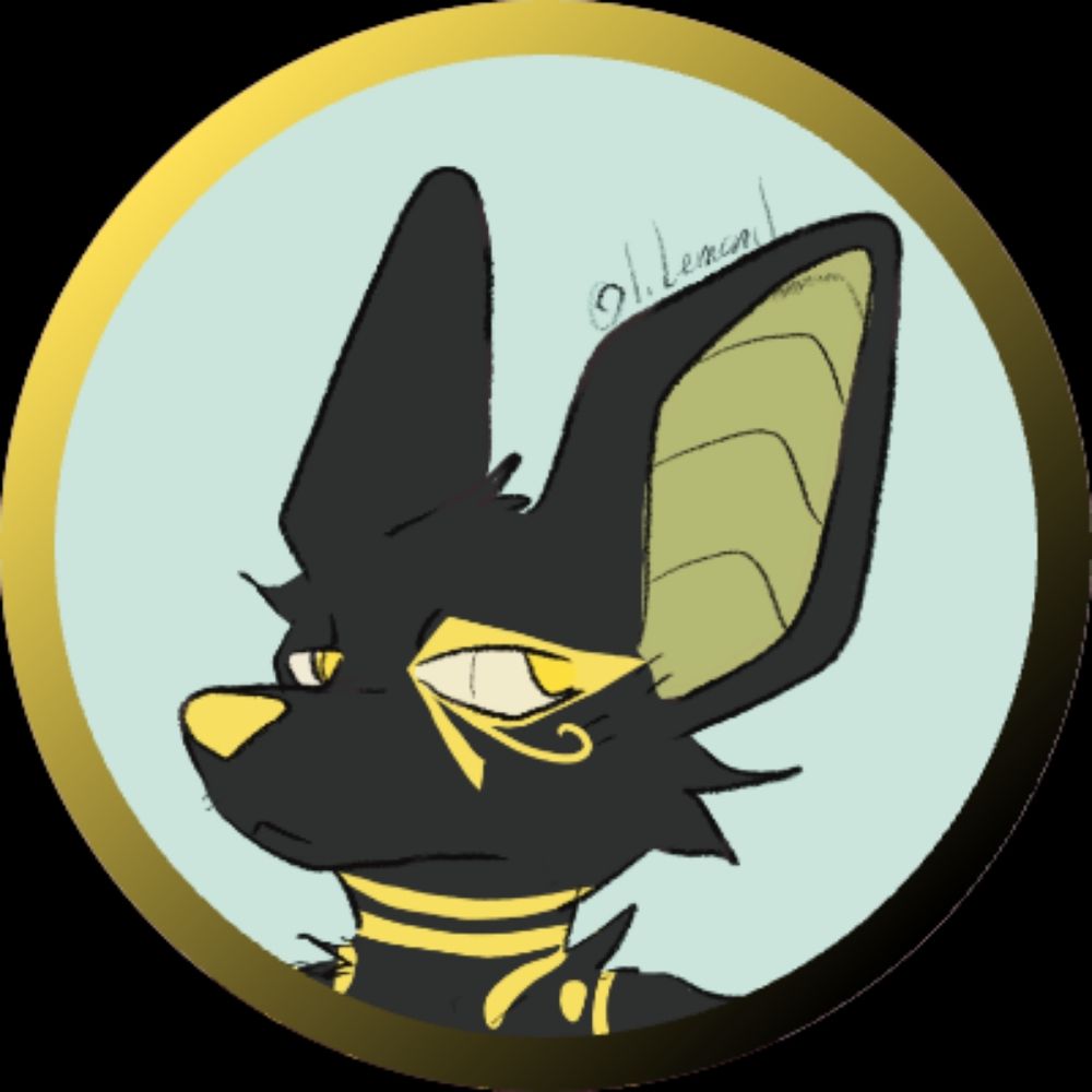 Jackaljackaljackal 🔞