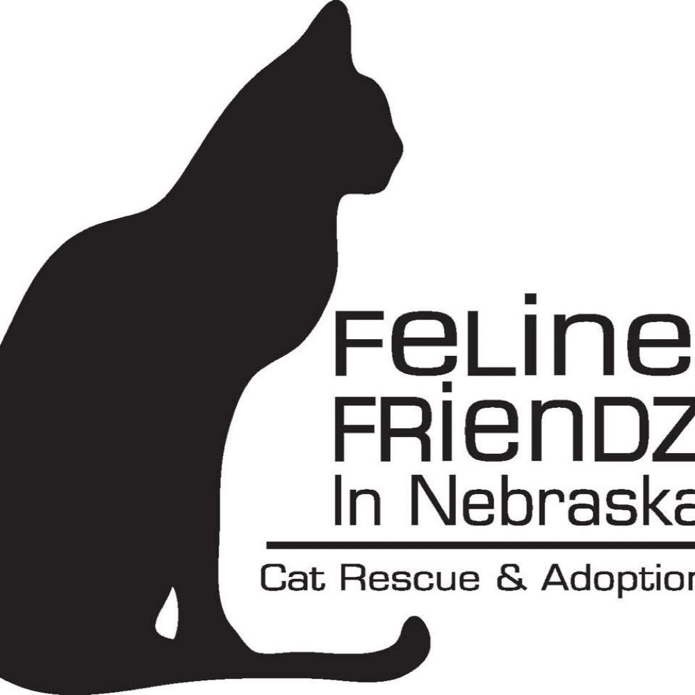 Profile picture felinefriendz.bsky.social