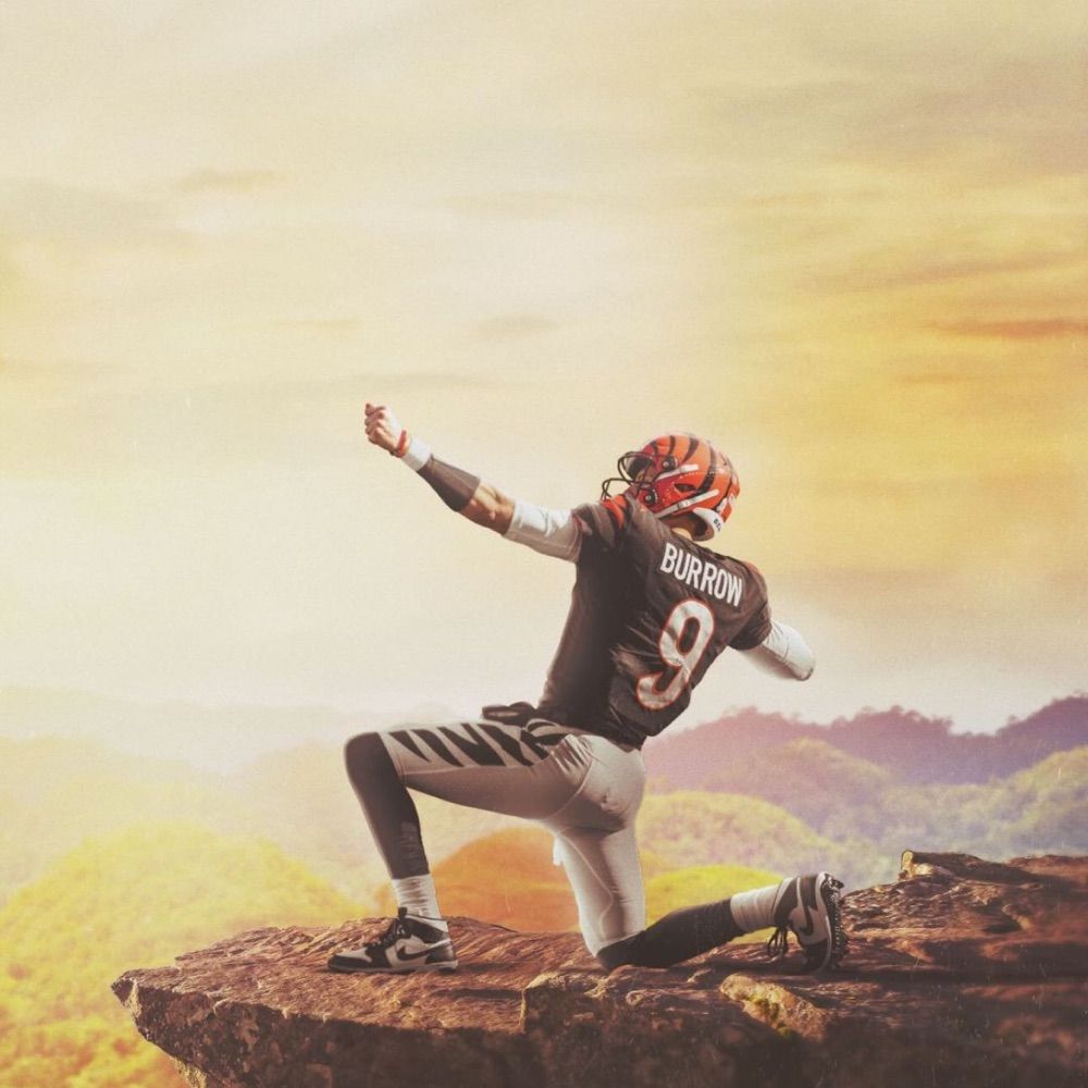 Bengals Fan