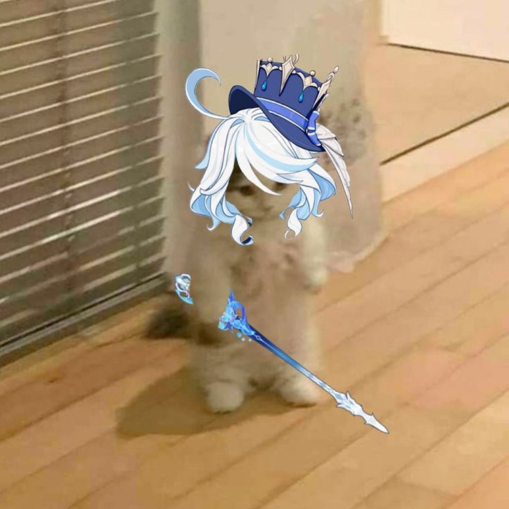 Furin(c)a🦭