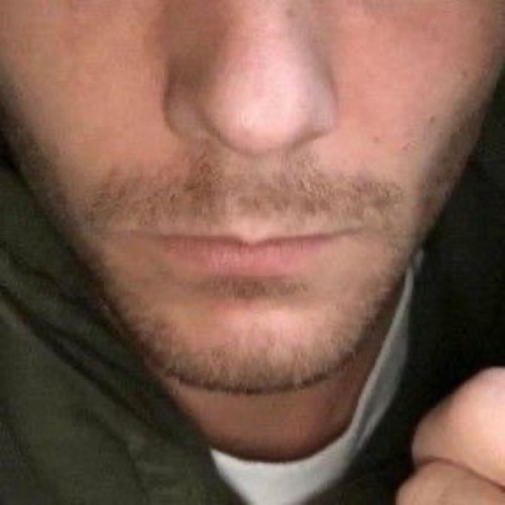 beard louis bot