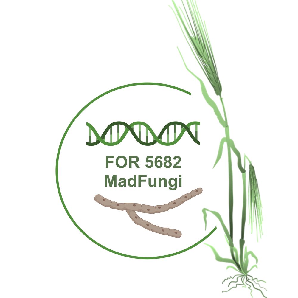 MadFungi 