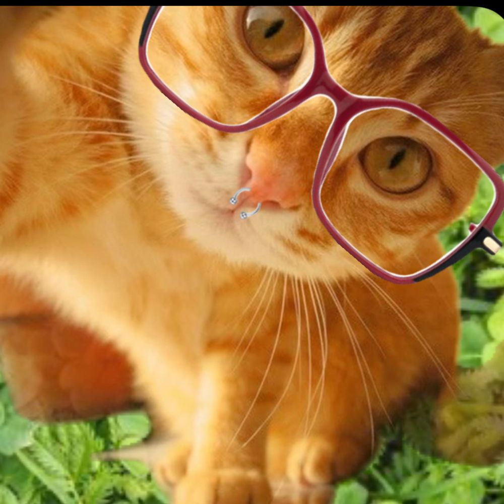meemow