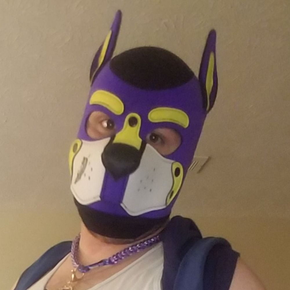 Artipup in Chicagoland