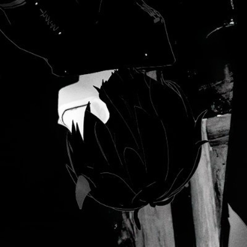 𝕸𝖆𝖗𝖙𝖟 💀