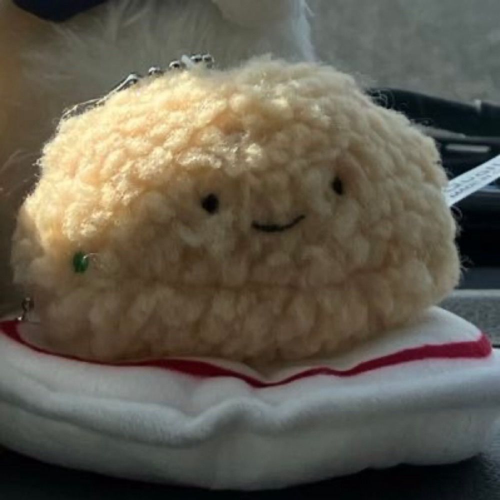 騒がシーナ