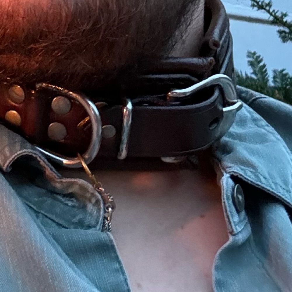 titted up dogboy