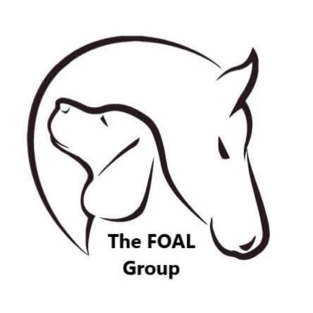The FOAL Group