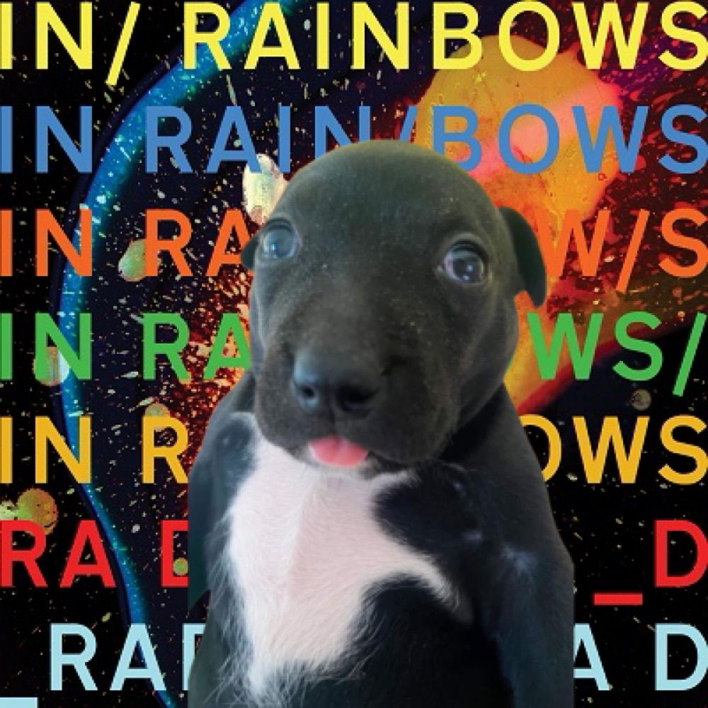 𝘰𝘌𝘳𝘪𝘤𝘬𝘶𝘻𝘪𝘯𝘩𝘰 ☆