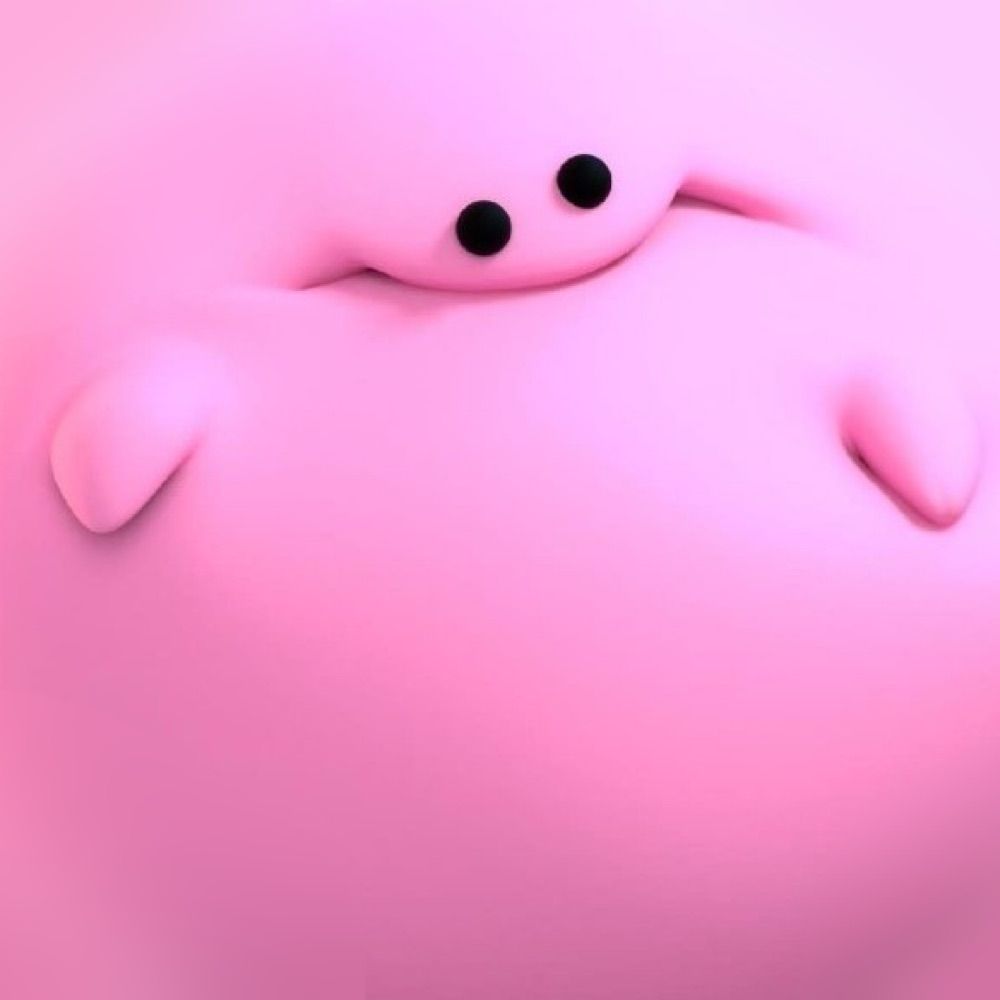Netti
