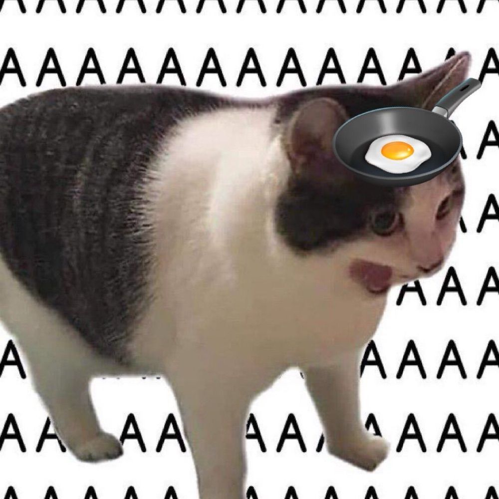  ︎