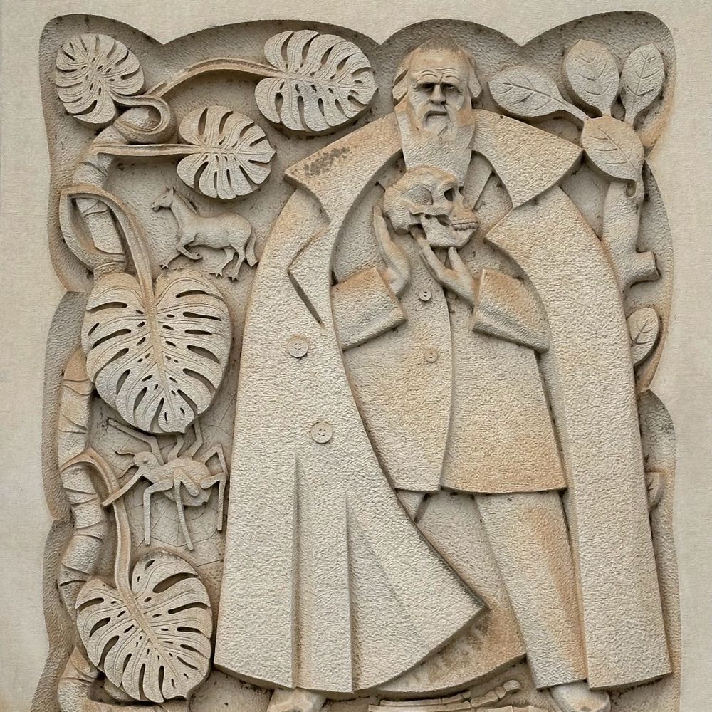 Will Patterson, PhD