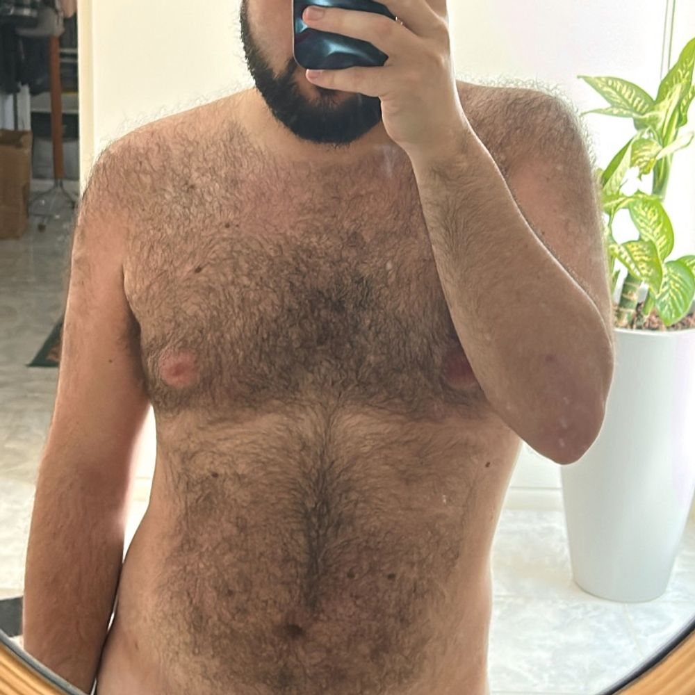 babybear