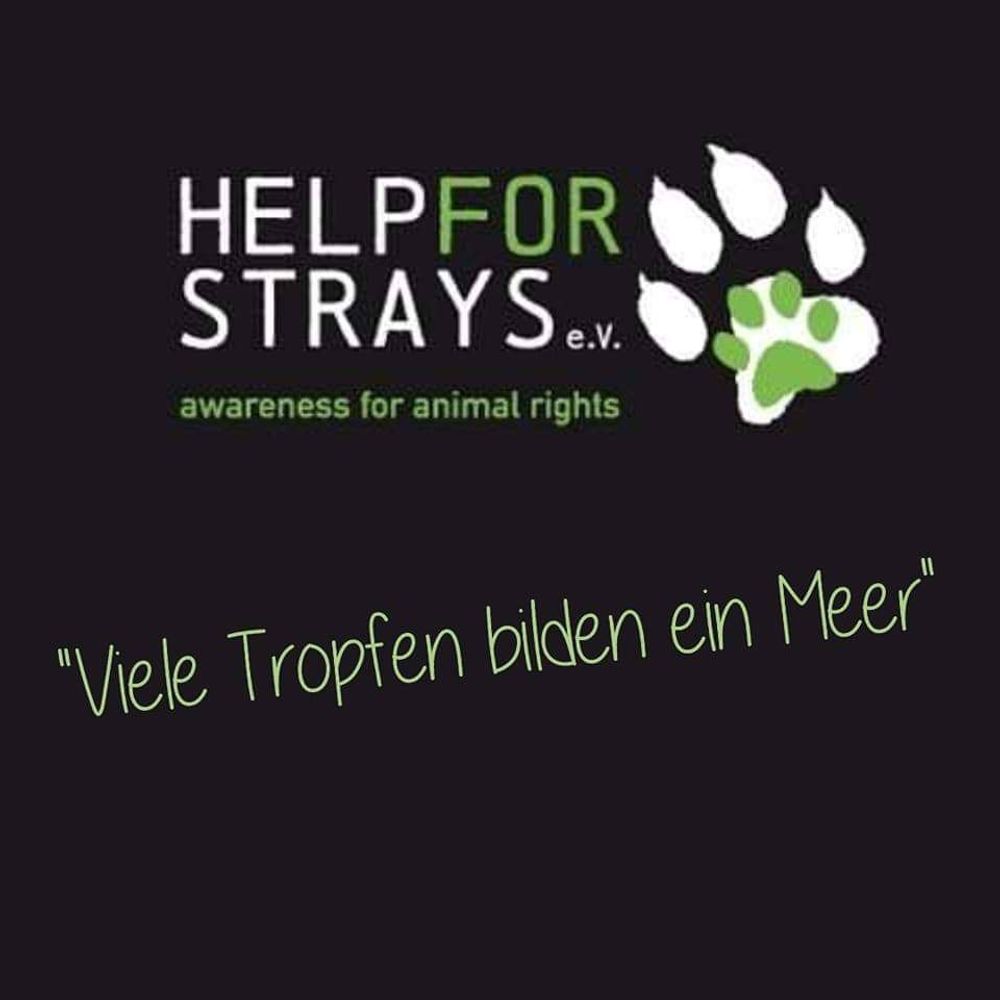 Help for strays e.V.