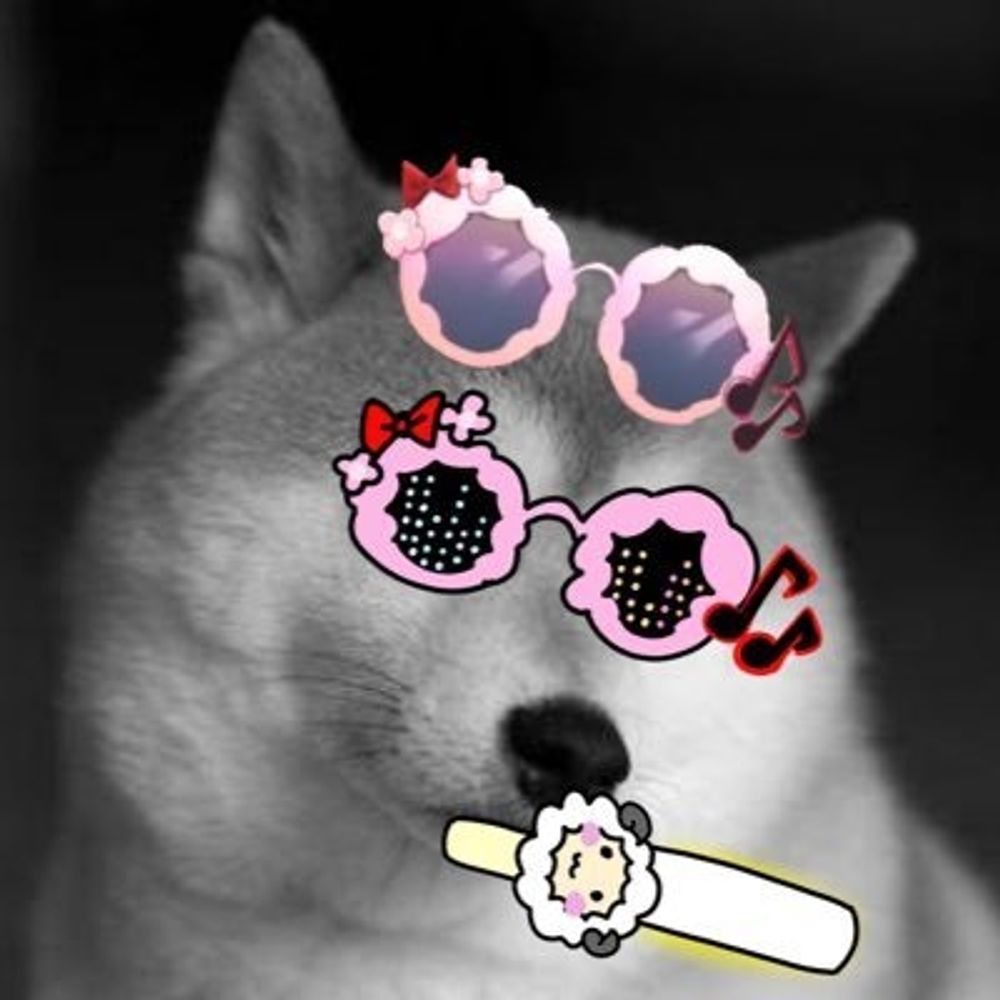WD犬