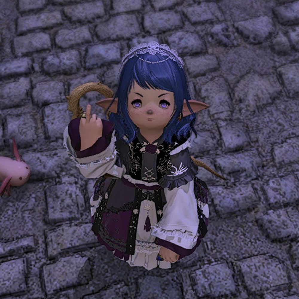 Average Catboy Enjoyer