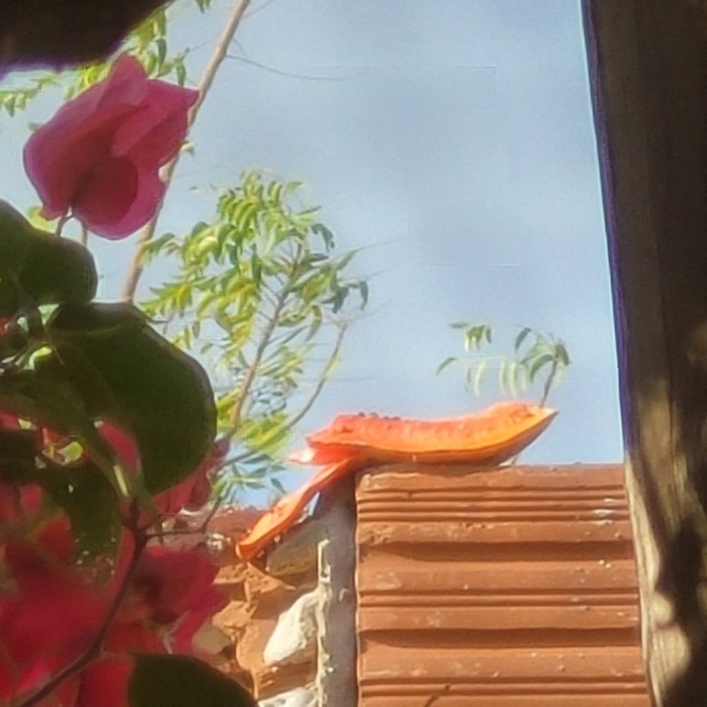 Covil de Uroboros