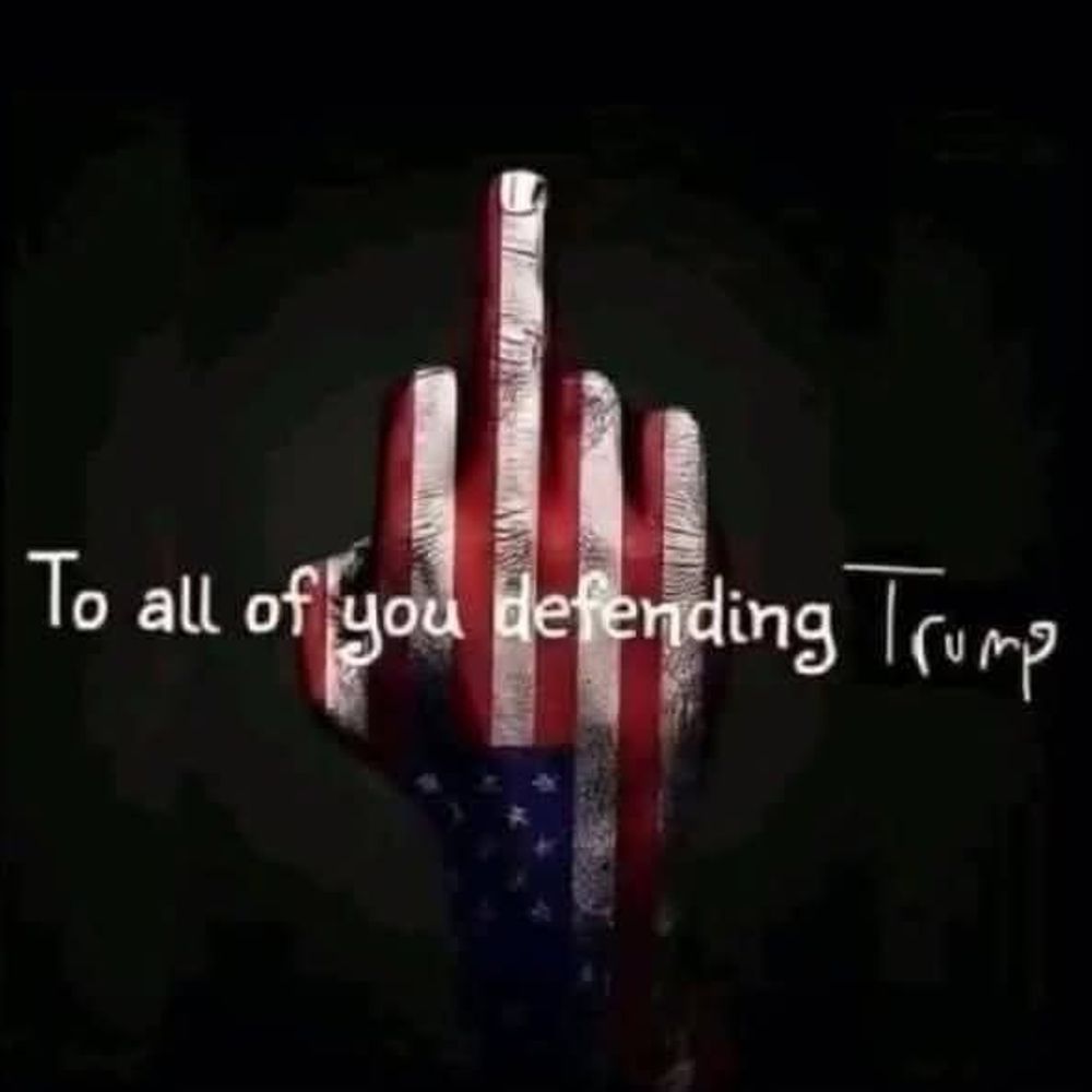 twiddleresists.bsky.social profile picture