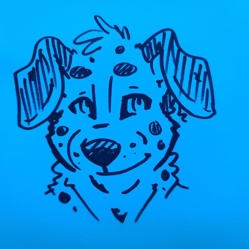 A Silly Spotty